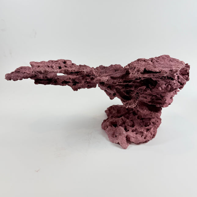 WYSIWYG Coraline Reef Rock #8