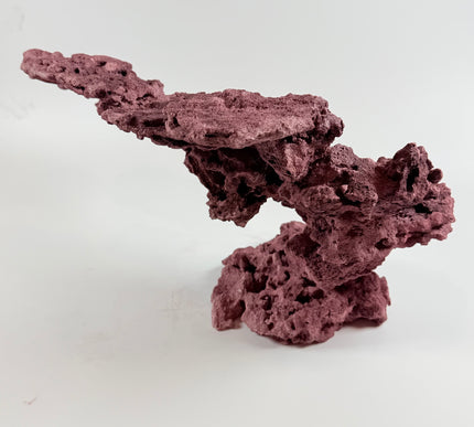 WYSIWYG Coraline Reef Rock #8