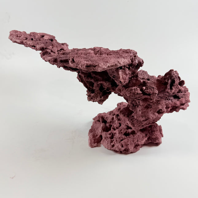 WYSIWYG Coraline Reef Rock #8