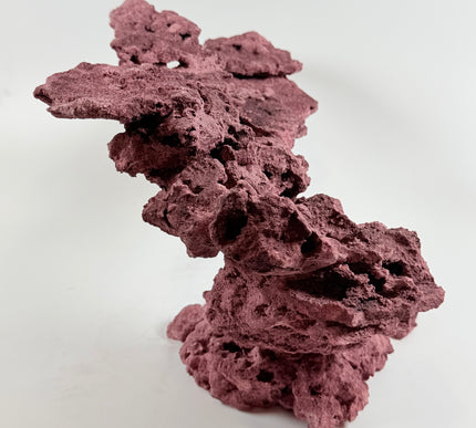 WYSIWYG Coraline Reef Rock #8