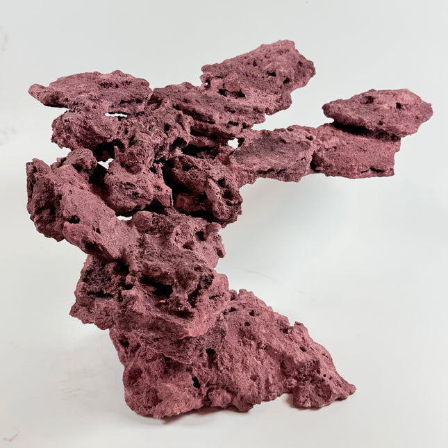 WYSIWYG Coraline Reef Rock #8