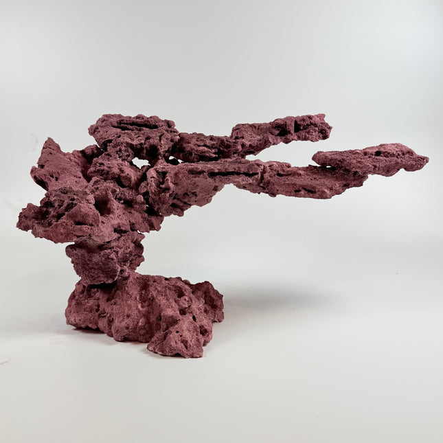 WYSIWYG Coraline Reef Rock #8