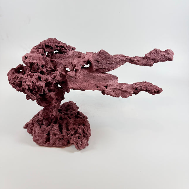 WYSIWYG Coraline Reef Rock #9