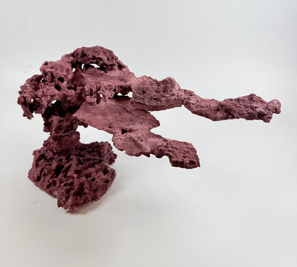 WYSIWYG Coraline Reef Rock #9