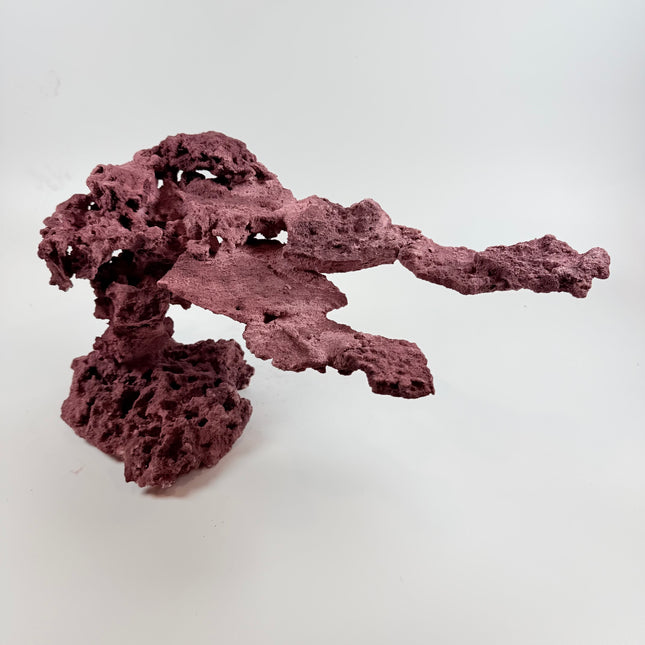 WYSIWYG Coraline Reef Rock #9