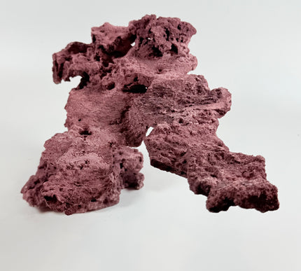 WYSIWYG Coraline Reef Rock #9