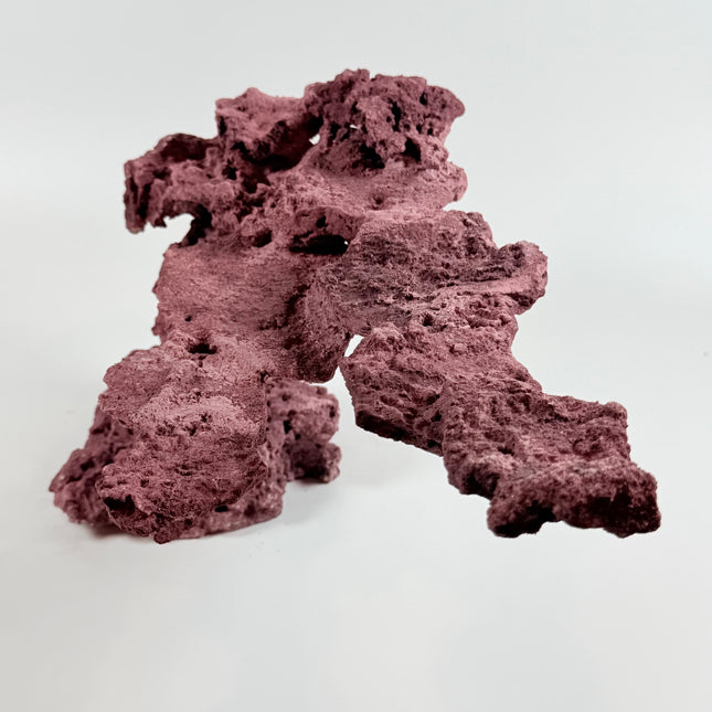 WYSIWYG Coraline Reef Rock #9