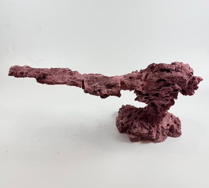 WYSIWYG Coraline Reef Rock #9