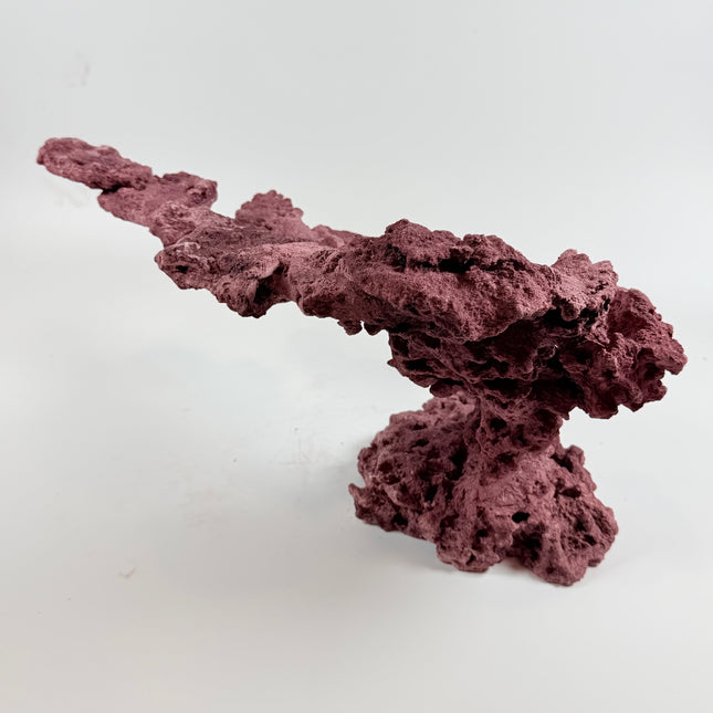 WYSIWYG Coraline Reef Rock #9