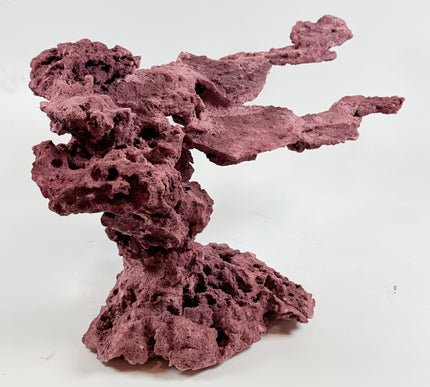 WYSIWYG Coraline Reef Rock #9