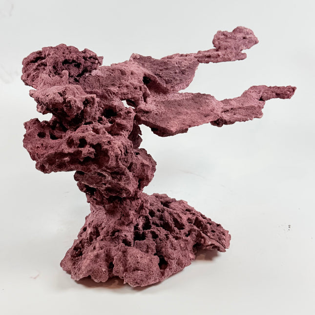 WYSIWYG Coraline Reef Rock #9