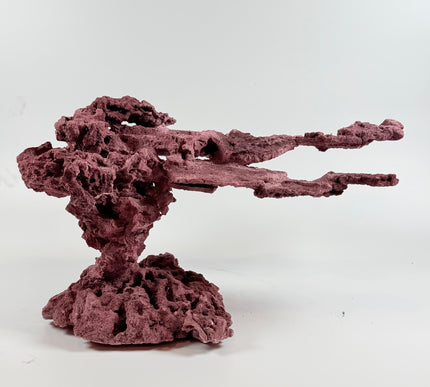 WYSIWYG Coraline Reef Rock #9