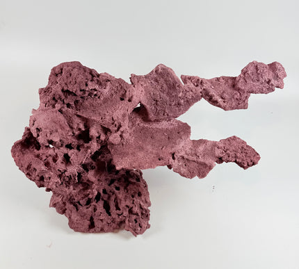 WYSIWYG Coraline Reef Rock #9