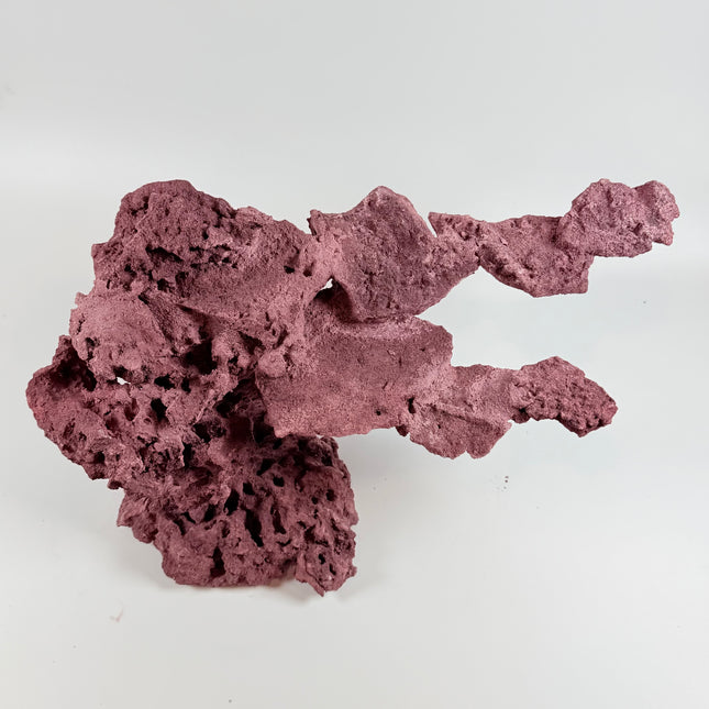 WYSIWYG Coraline Reef Rock #9