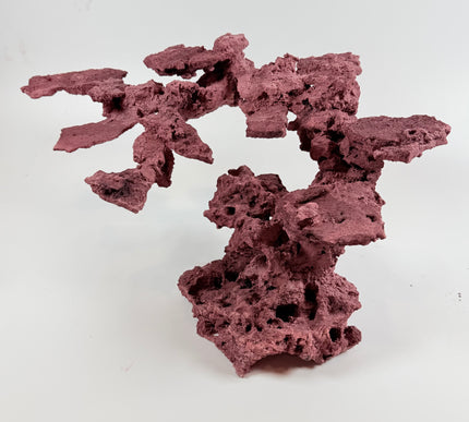 WYSIWYG Coraline Reef Rock #10