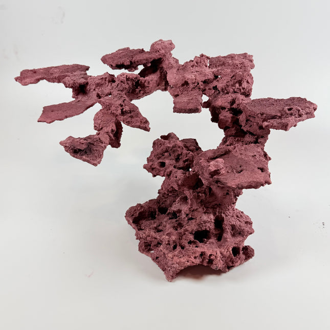 WYSIWYG Coraline Reef Rock #10