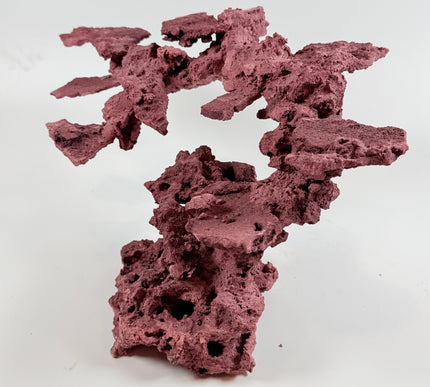 WYSIWYG Coraline Reef Rock #10