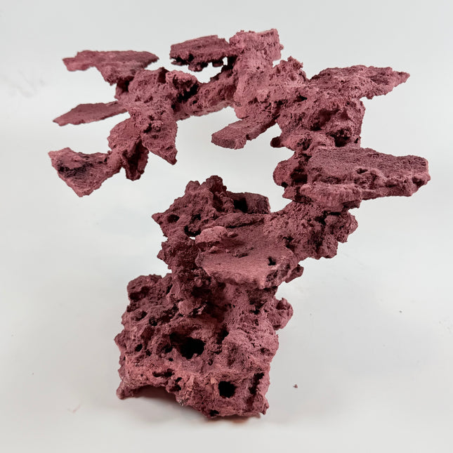WYSIWYG Coraline Reef Rock #10
