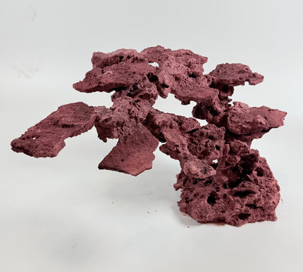 WYSIWYG Coraline Reef Rock #10
