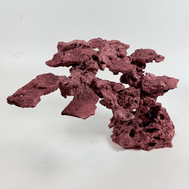 WYSIWYG Coraline Reef Rock #10