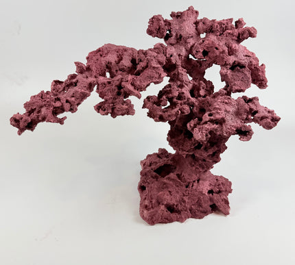 WYSIWYG Coraline Reef Rock #11