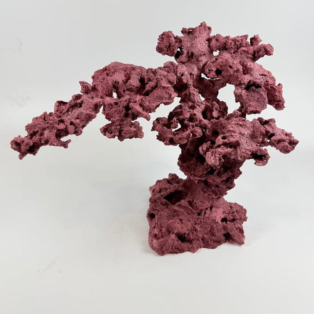 WYSIWYG Coraline Reef Rock #11