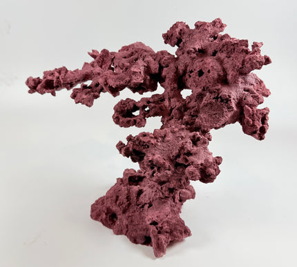 WYSIWYG Coraline Reef Rock #11