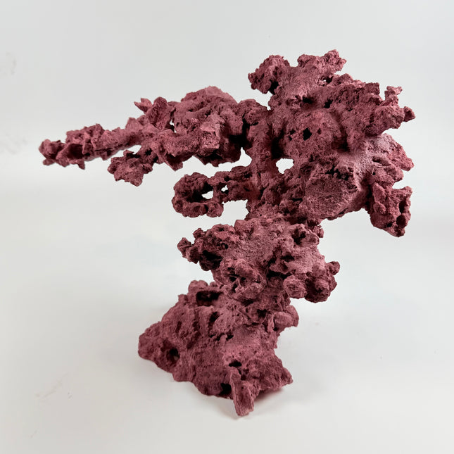WYSIWYG Coraline Reef Rock #11