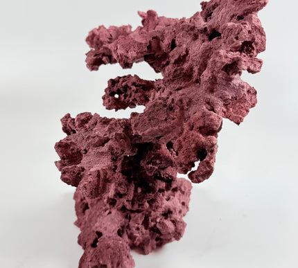 WYSIWYG Coraline Reef Rock #11