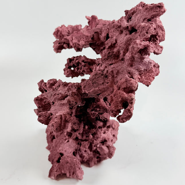WYSIWYG Coraline Reef Rock #11