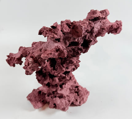 WYSIWYG Coraline Reef Rock #11