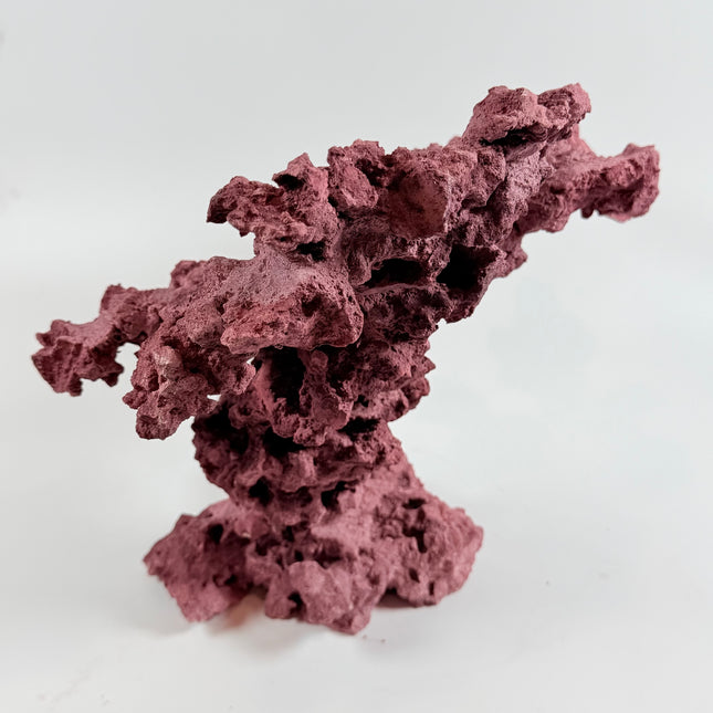 WYSIWYG Coraline Reef Rock #11