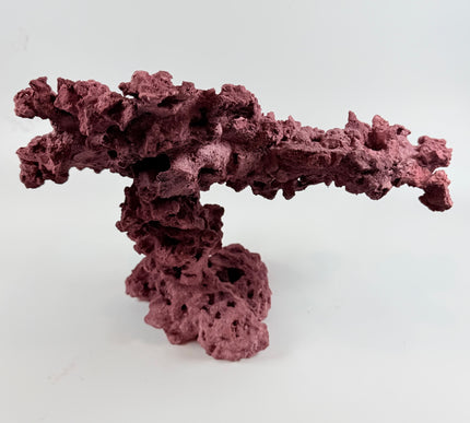 WYSIWYG Coraline Reef Rock #11