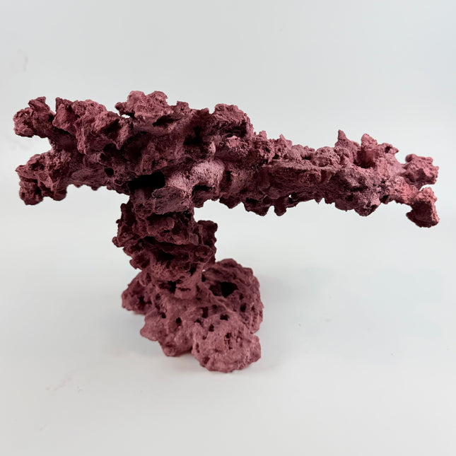 WYSIWYG Coraline Reef Rock #11