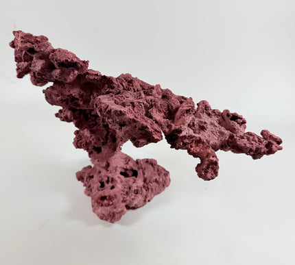 WYSIWYG Coraline Reef Rock #11