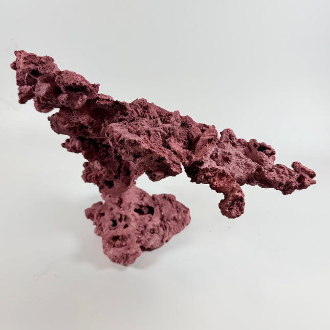 WYSIWYG Coraline Reef Rock #11