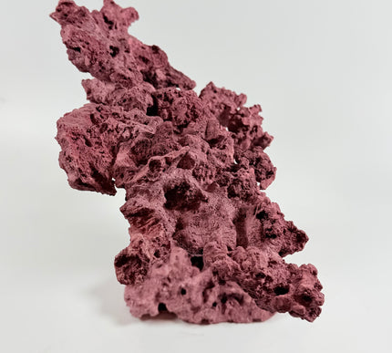 WYSIWYG Coraline Reef Rock #11