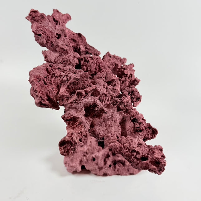 WYSIWYG Coraline Reef Rock #11