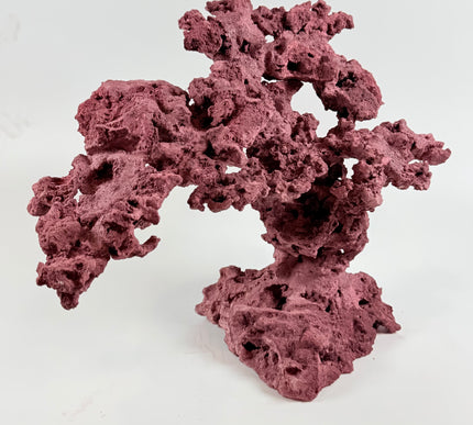 WYSIWYG Coraline Reef Rock #11