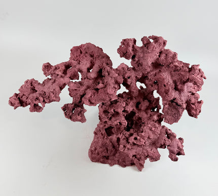 WYSIWYG Coraline Reef Rock #11