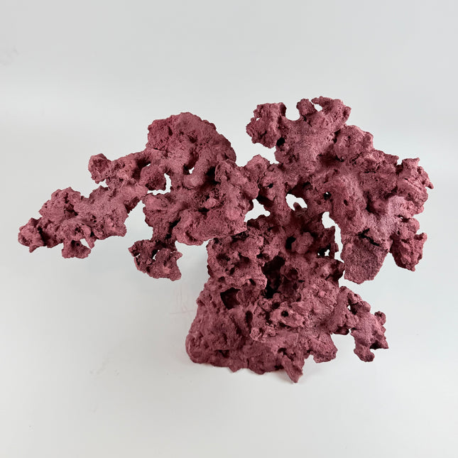 WYSIWYG Coraline Reef Rock #11