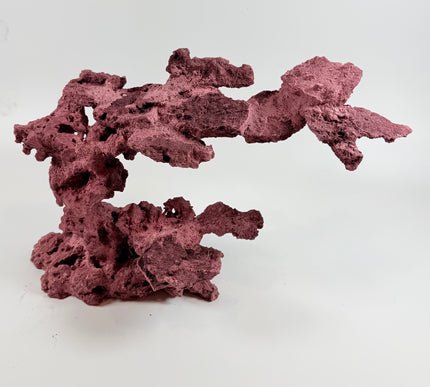 WYSIWYG Coraline Reef Rock #12