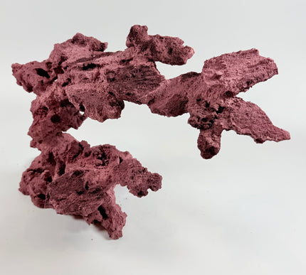 WYSIWYG Coraline Reef Rock #12
