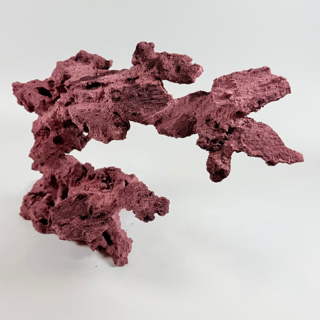 WYSIWYG Coraline Reef Rock #12