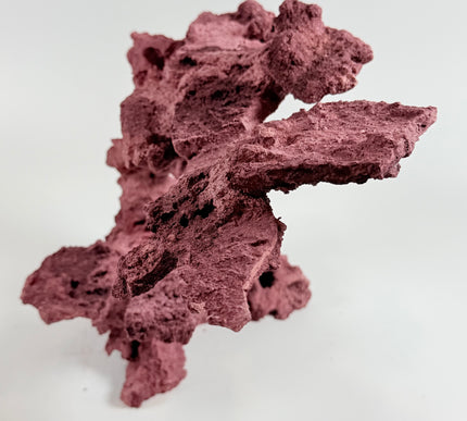 WYSIWYG Coraline Reef Rock #12