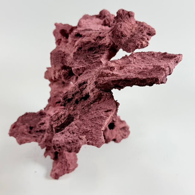 WYSIWYG Coraline Reef Rock #12