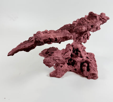 WYSIWYG Coraline Reef Rock #12