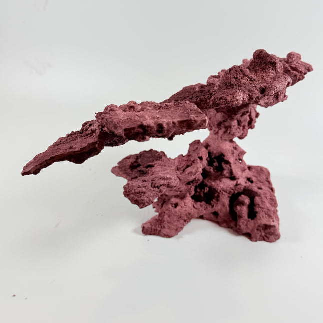 WYSIWYG Coraline Reef Rock #12