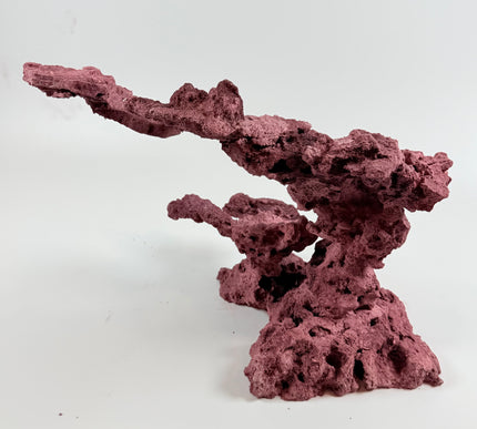 WYSIWYG Coraline Reef Rock #12