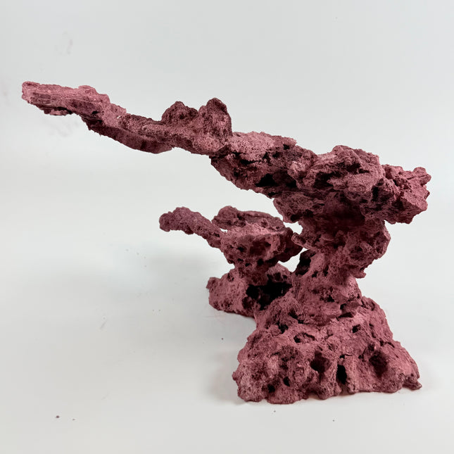 WYSIWYG Coraline Reef Rock #12